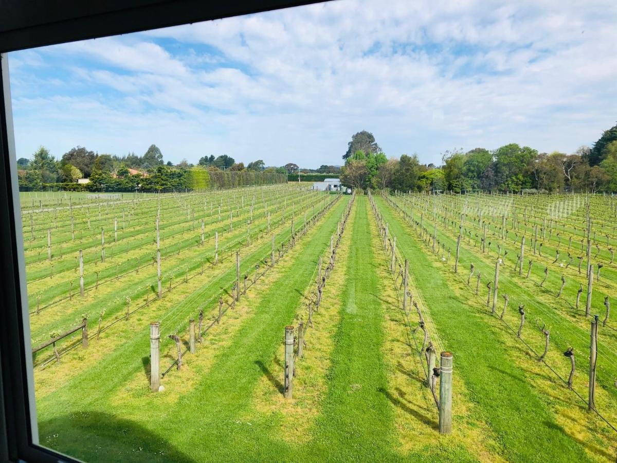 مبيت وإفطار ماسترتون Le Gra Vineyard And Winery المظهر الخارجي الصورة